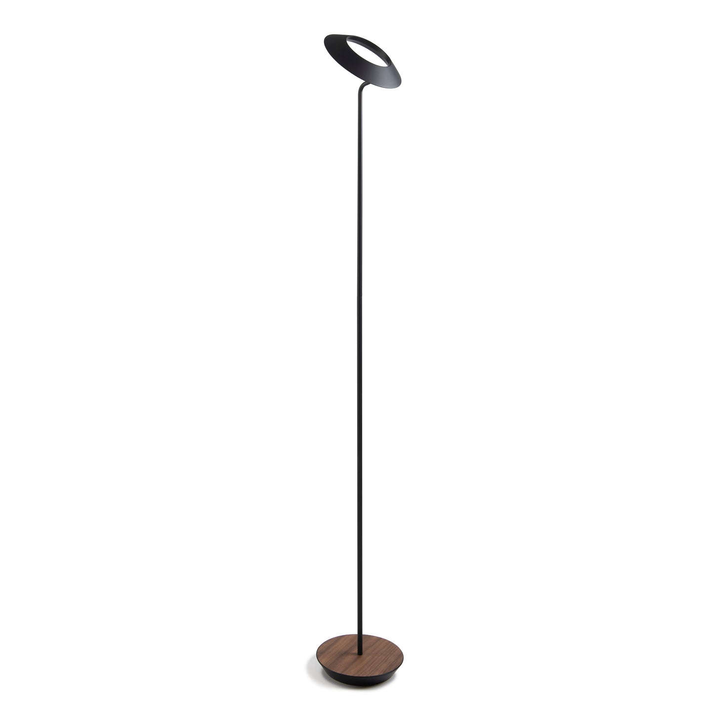 Royyo Floor Lamp