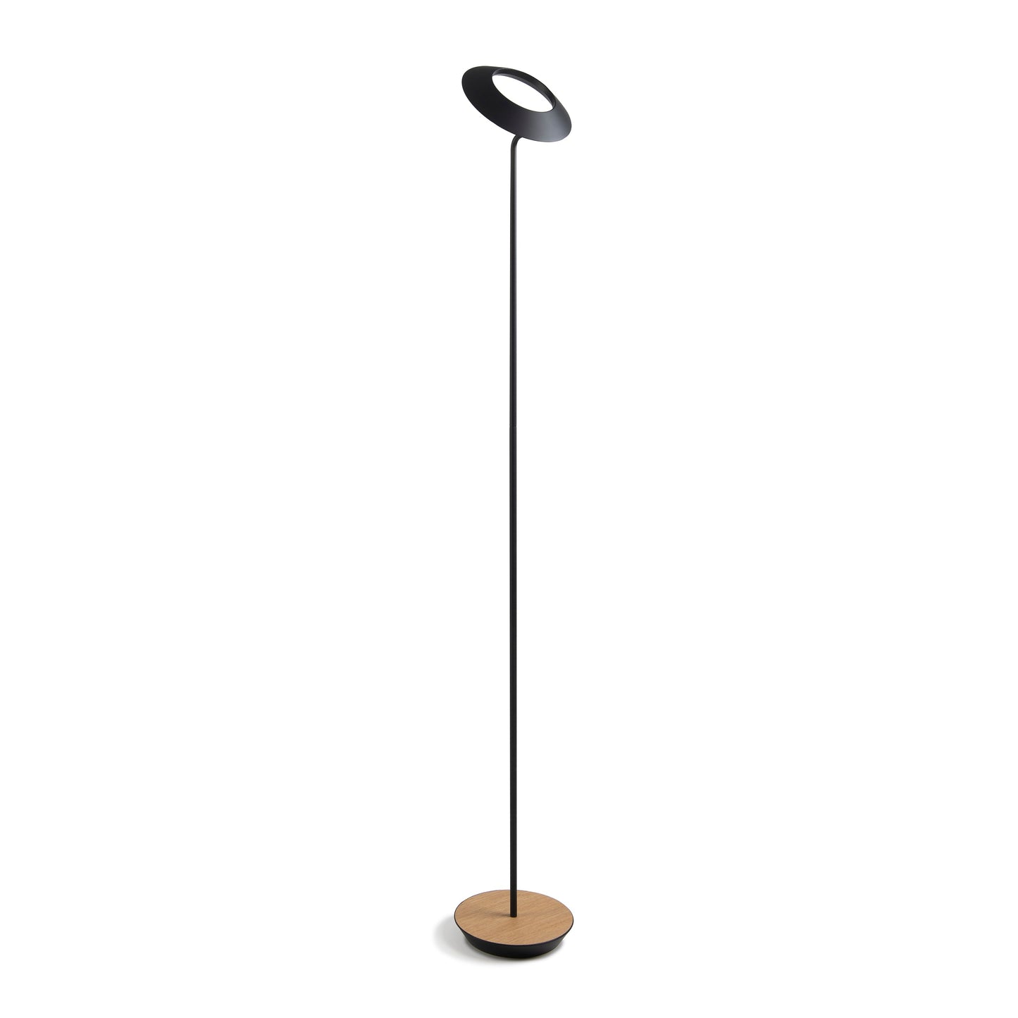 Royyo Floor Lamp