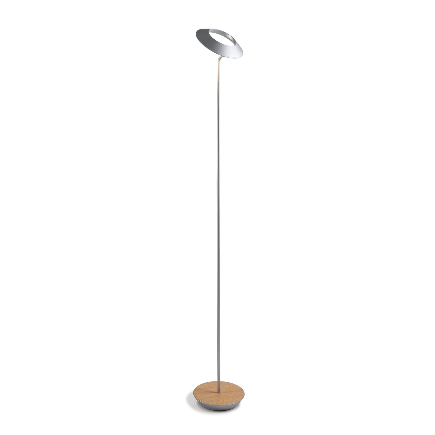 Royyo Floor Lamp
