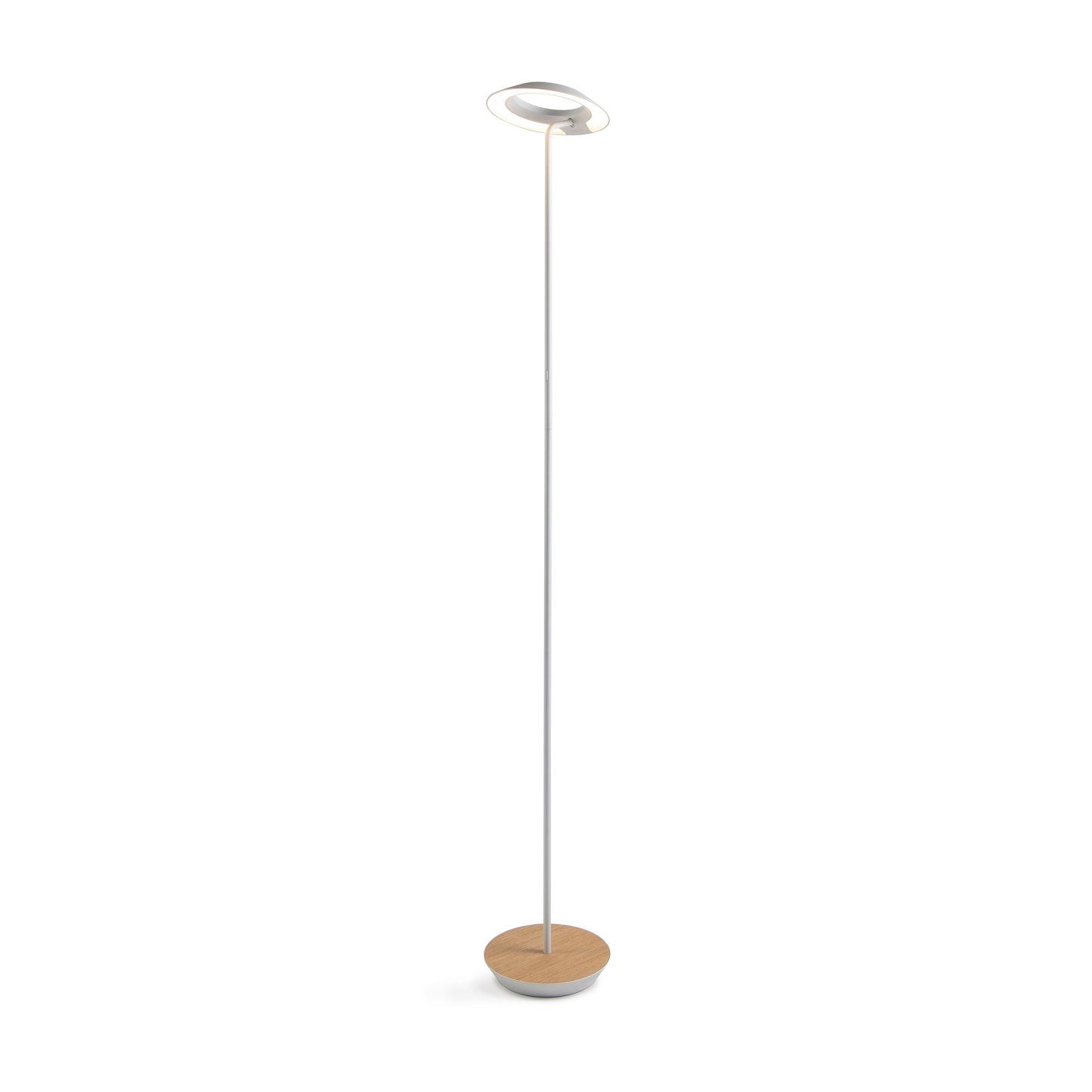 Royyo Floor Lamp