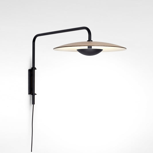 LED Ginger Wall Light