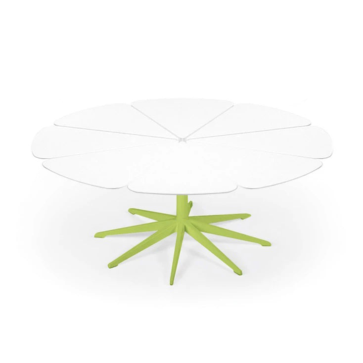 Petal Coffee Table