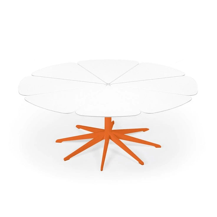 Petal Coffee Table