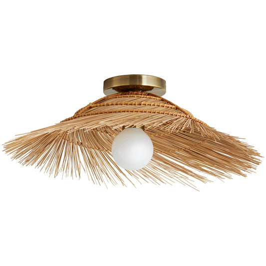 Hayes Wall / Ceiling Light