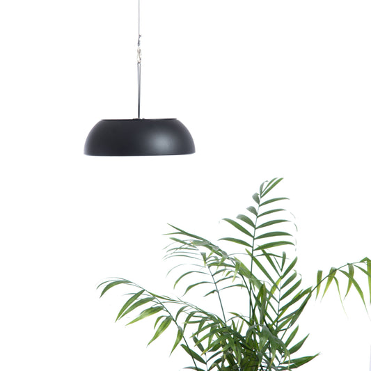 Float Pendant Light