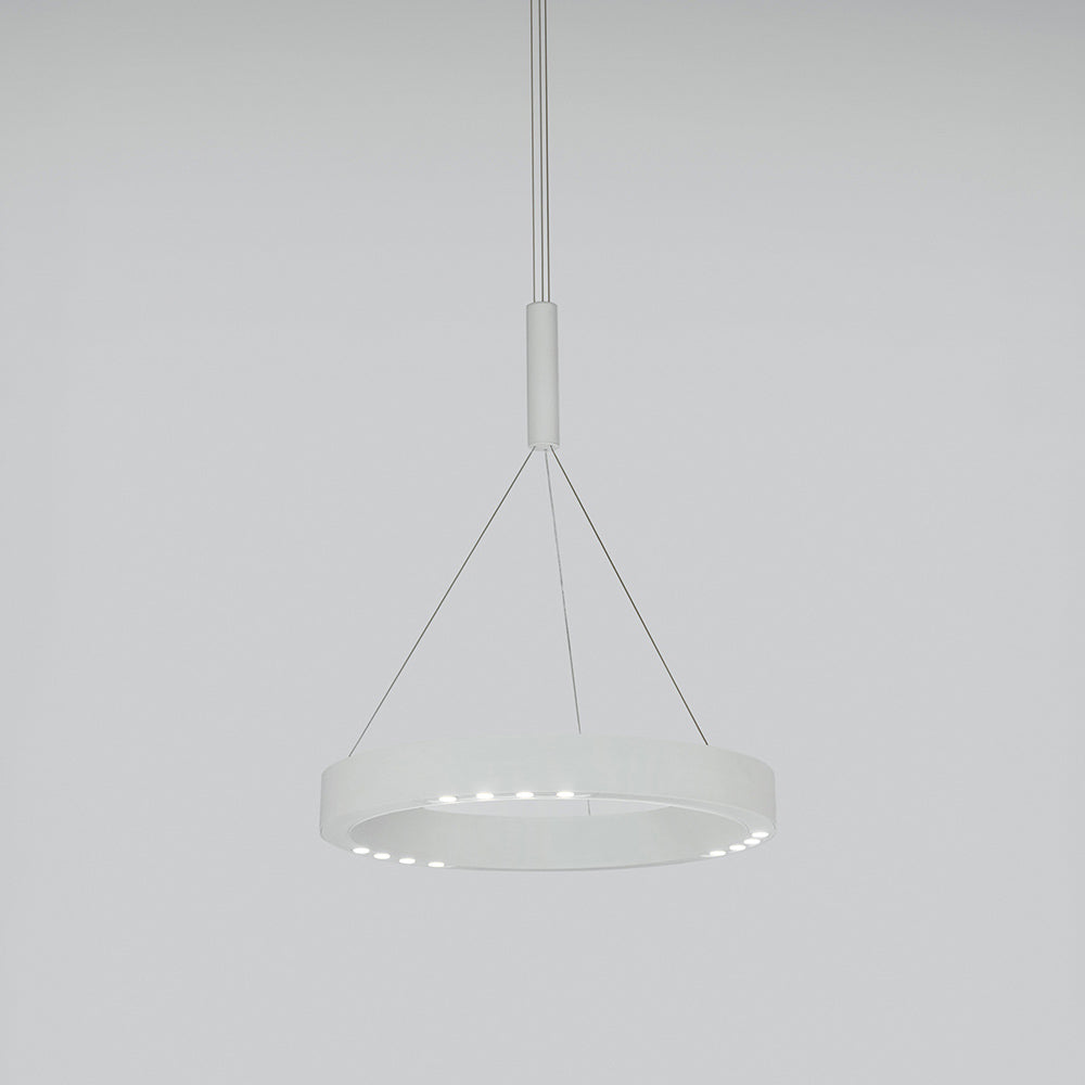 R2 LED Pendant Light