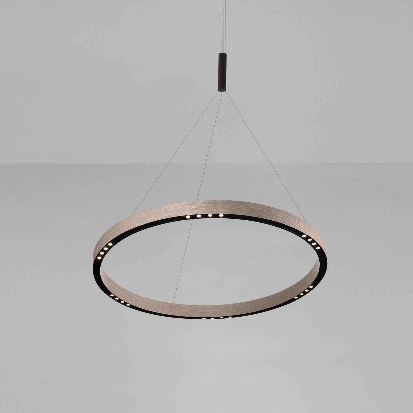 R2 LED Pendant Light