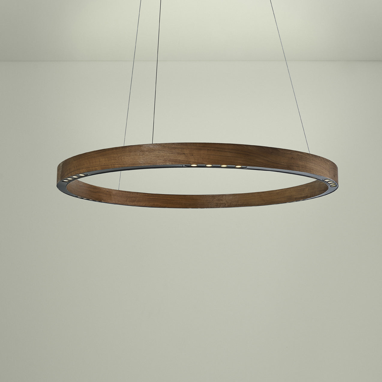 R2 LED Pendant Light