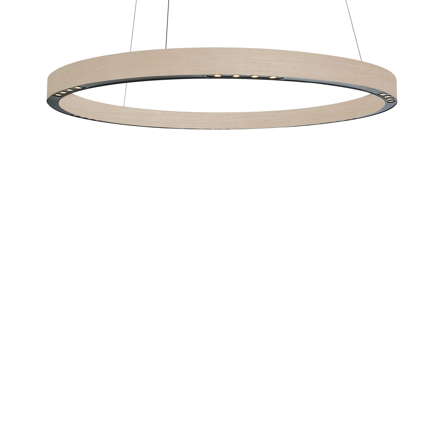 R2 LED Pendant Light