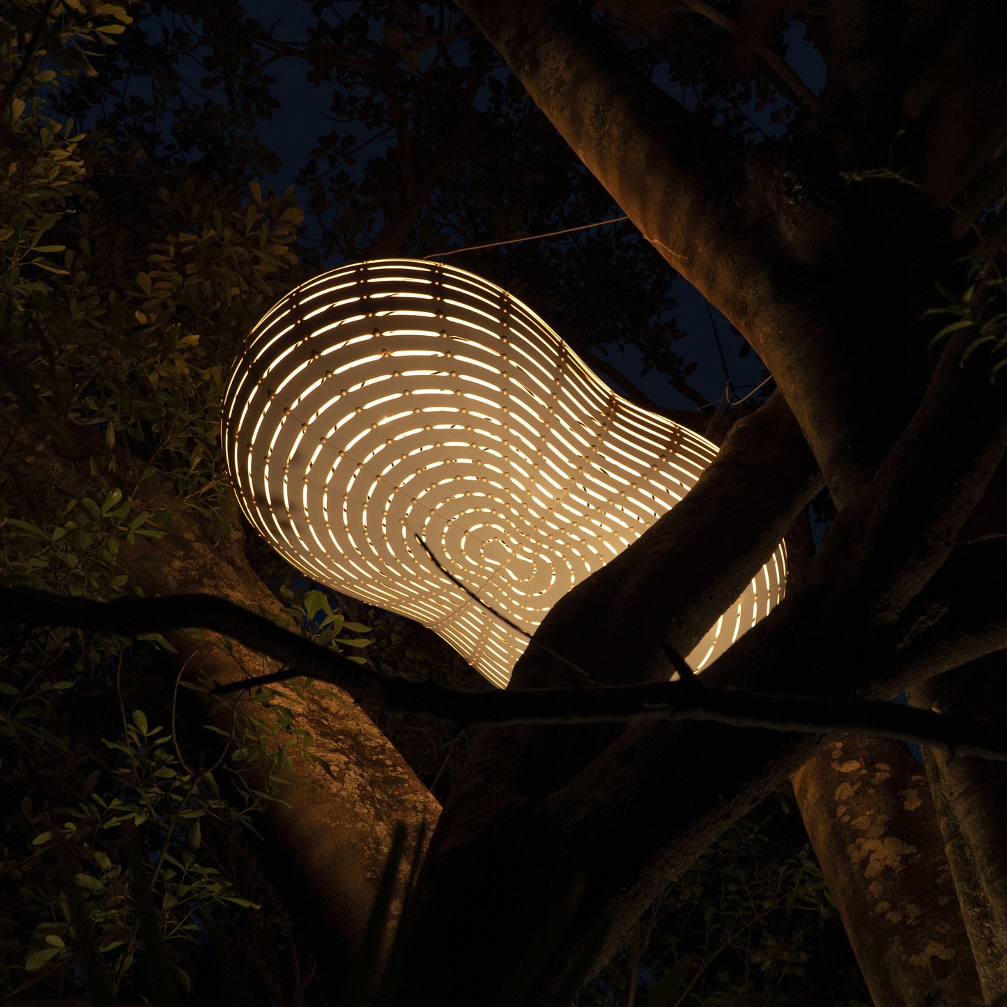 Cloud Pendant Light