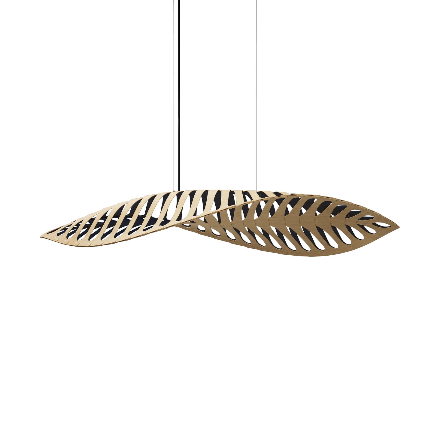 Navicula Pendant Light