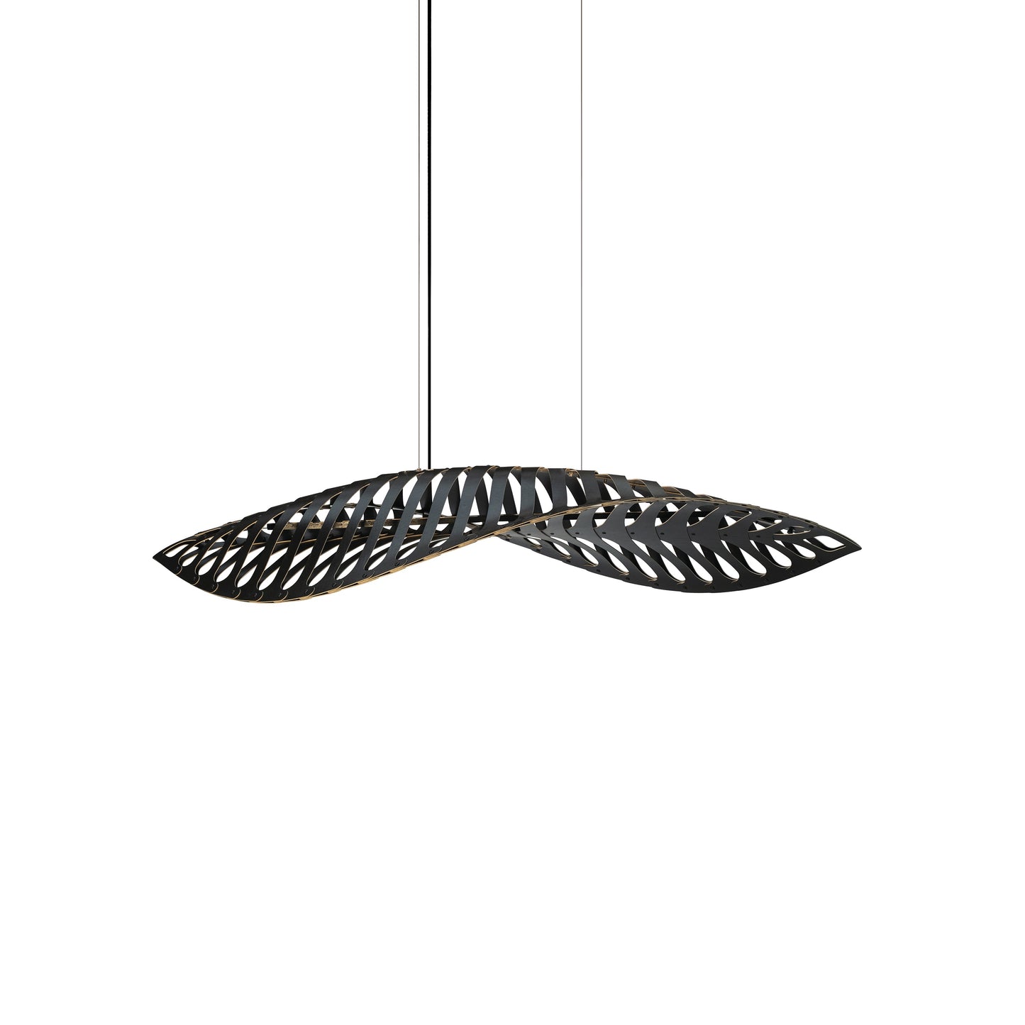 Navicula Pendant Light