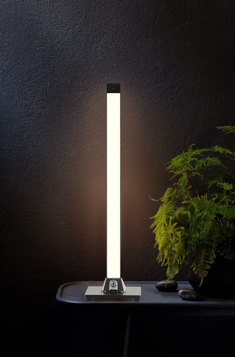 Sauve LED Table + Floor Lamp