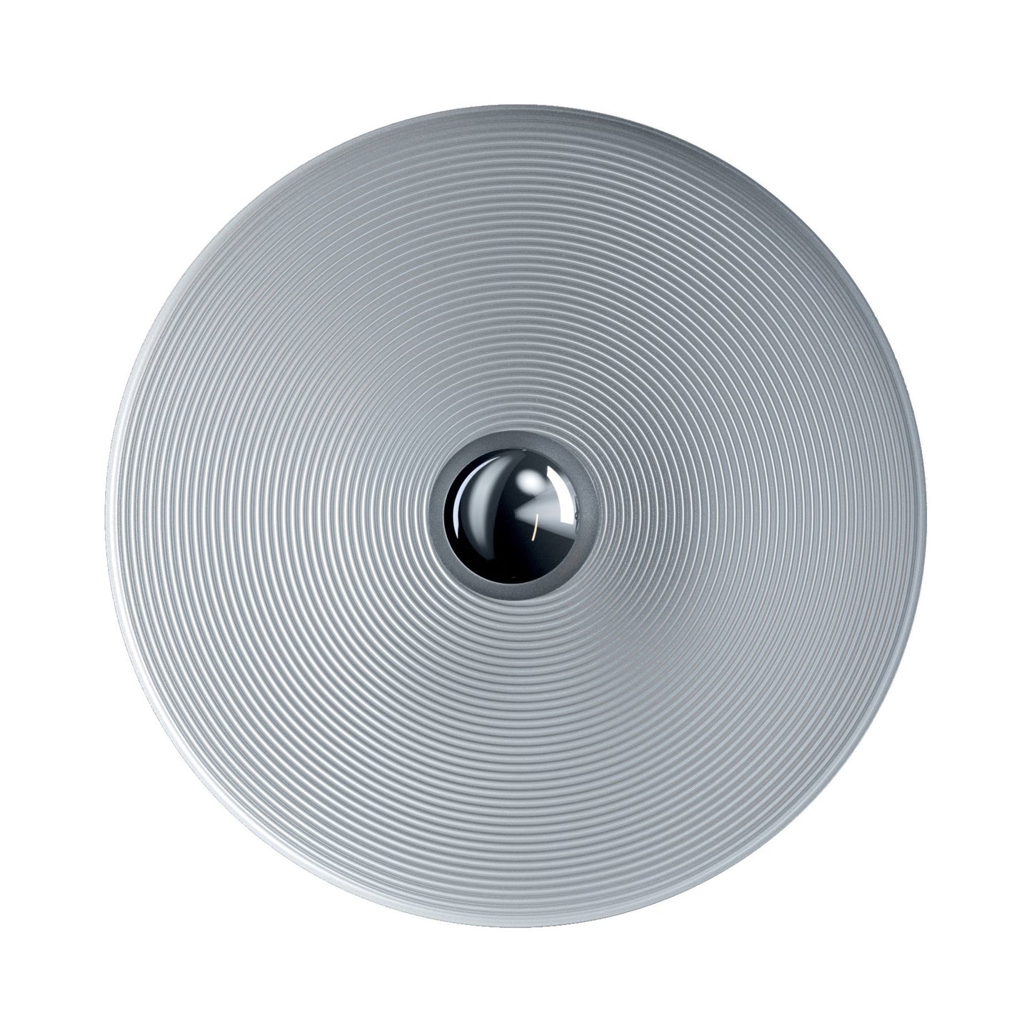 Vinyl Wall / Ceiling Light