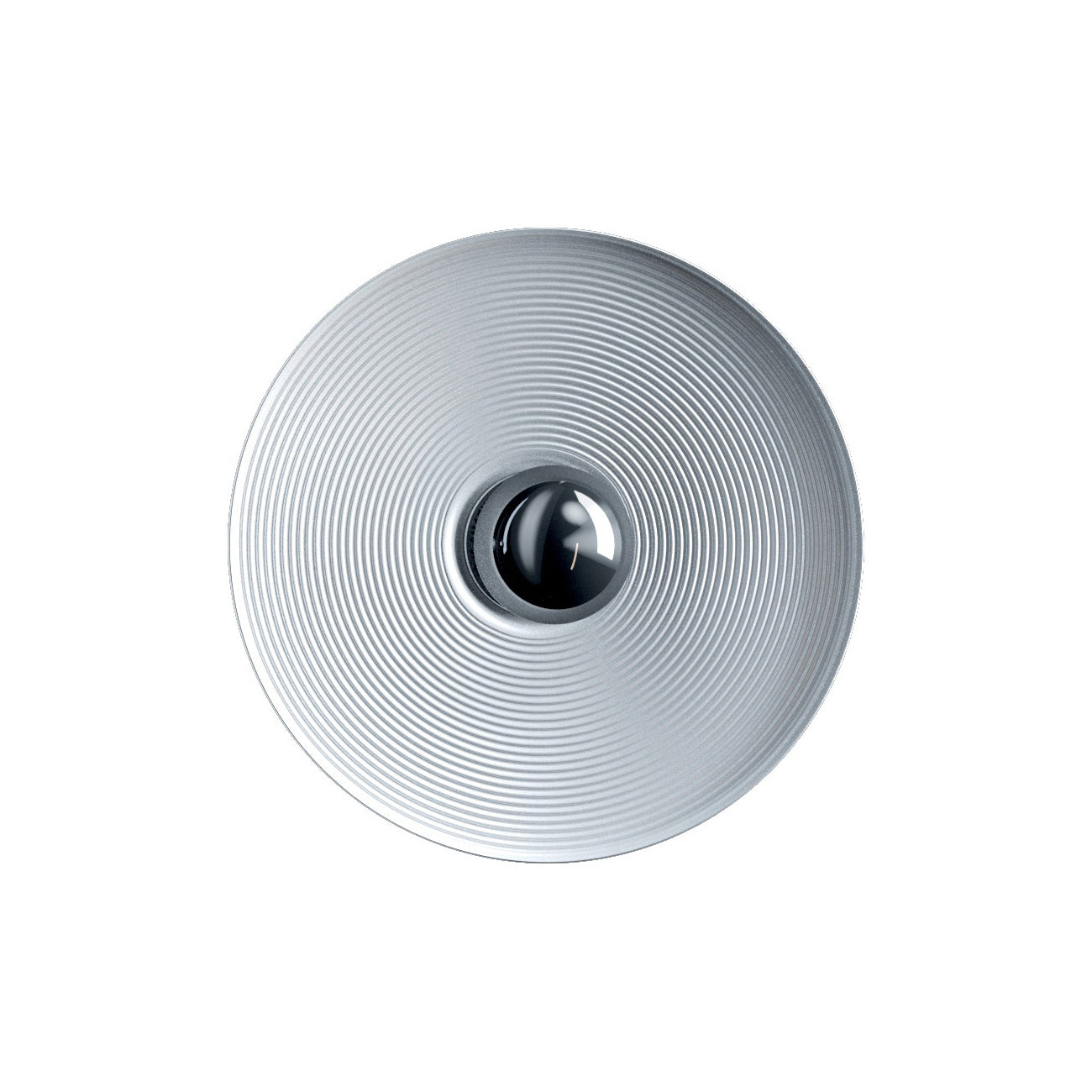 Vinyl Wall / Ceiling Light