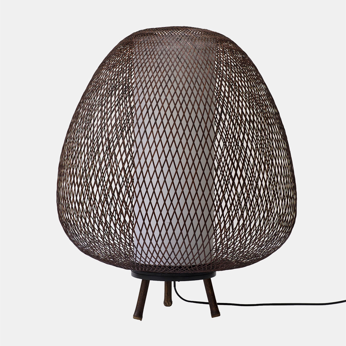 Twiggy Egg Floor Lamp