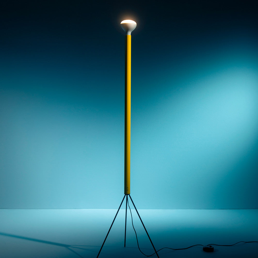 Luminator Floor Lamp