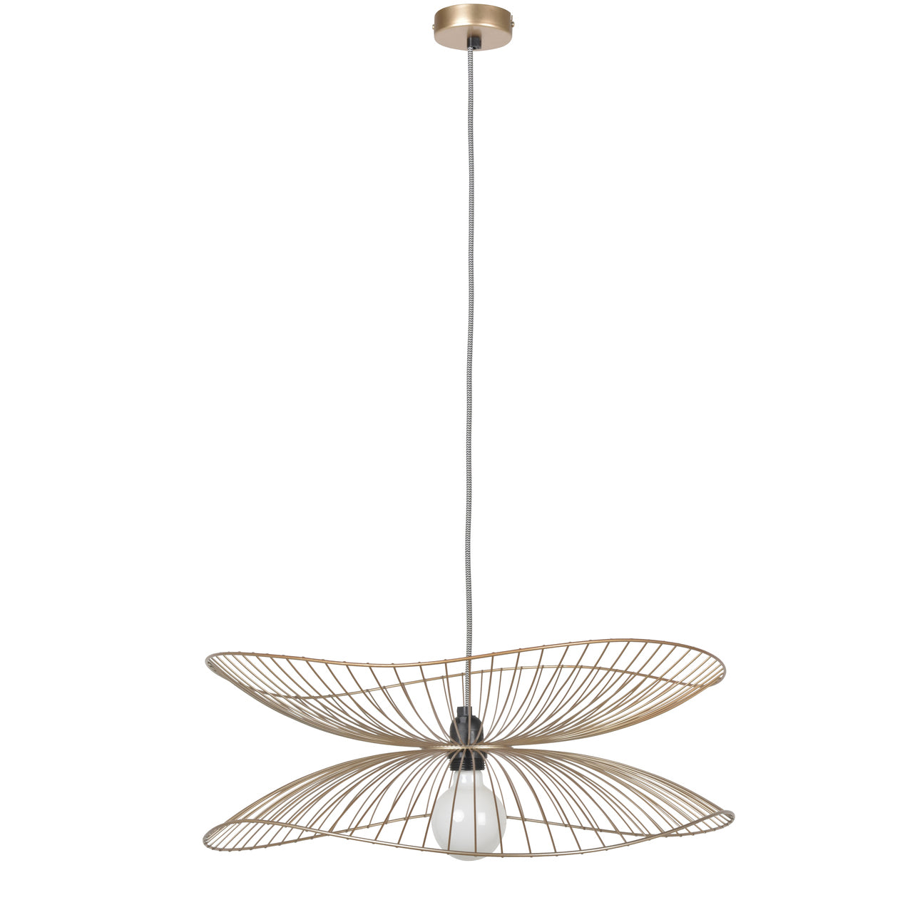 Libellule Pendant Light