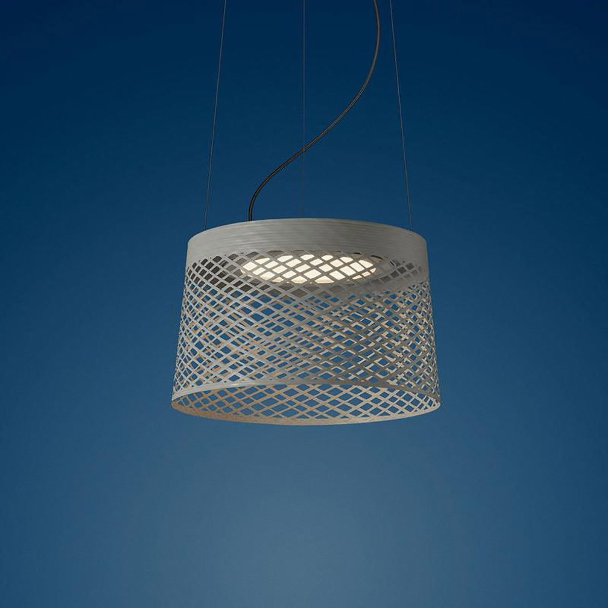 Twiggy Grid LED Outdoor Pendant Light