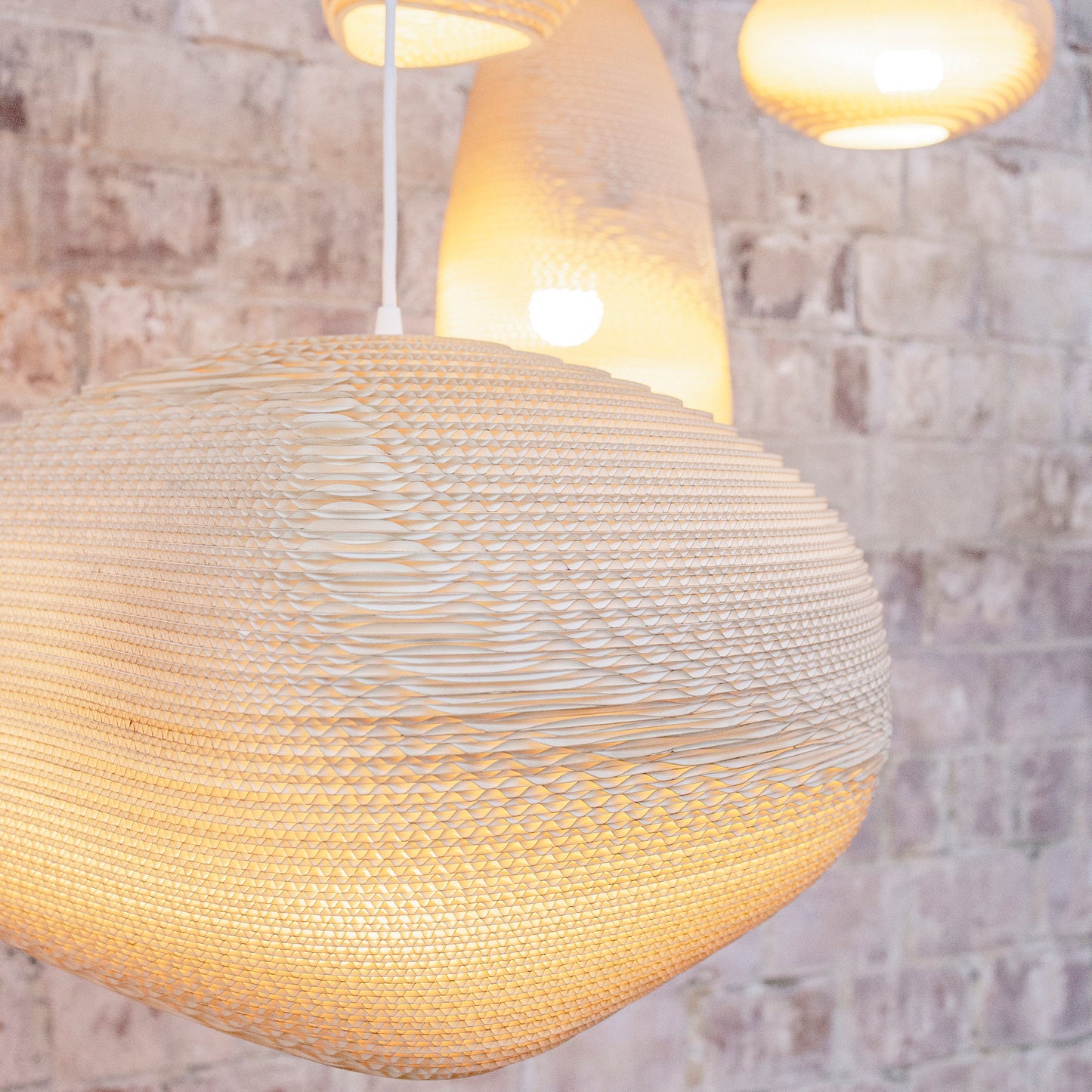 Alki Pendant Light