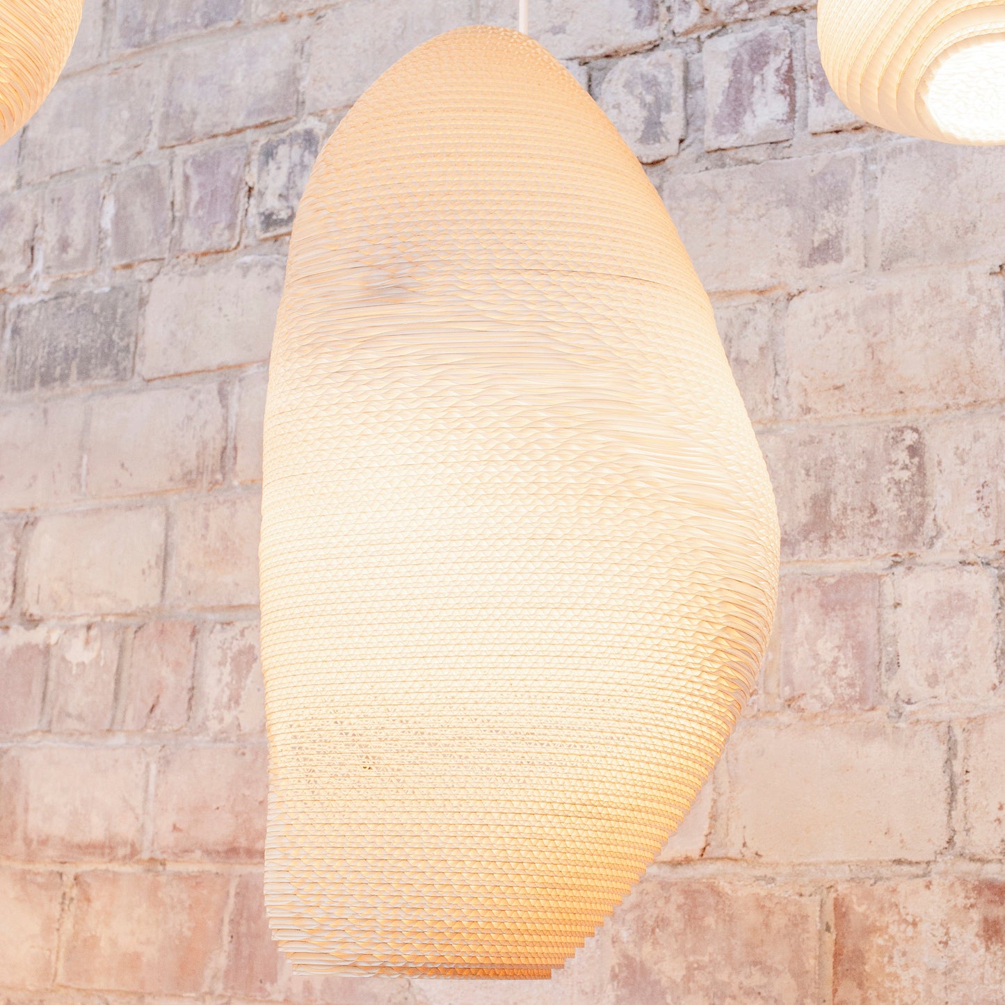 Denny Pendant Light