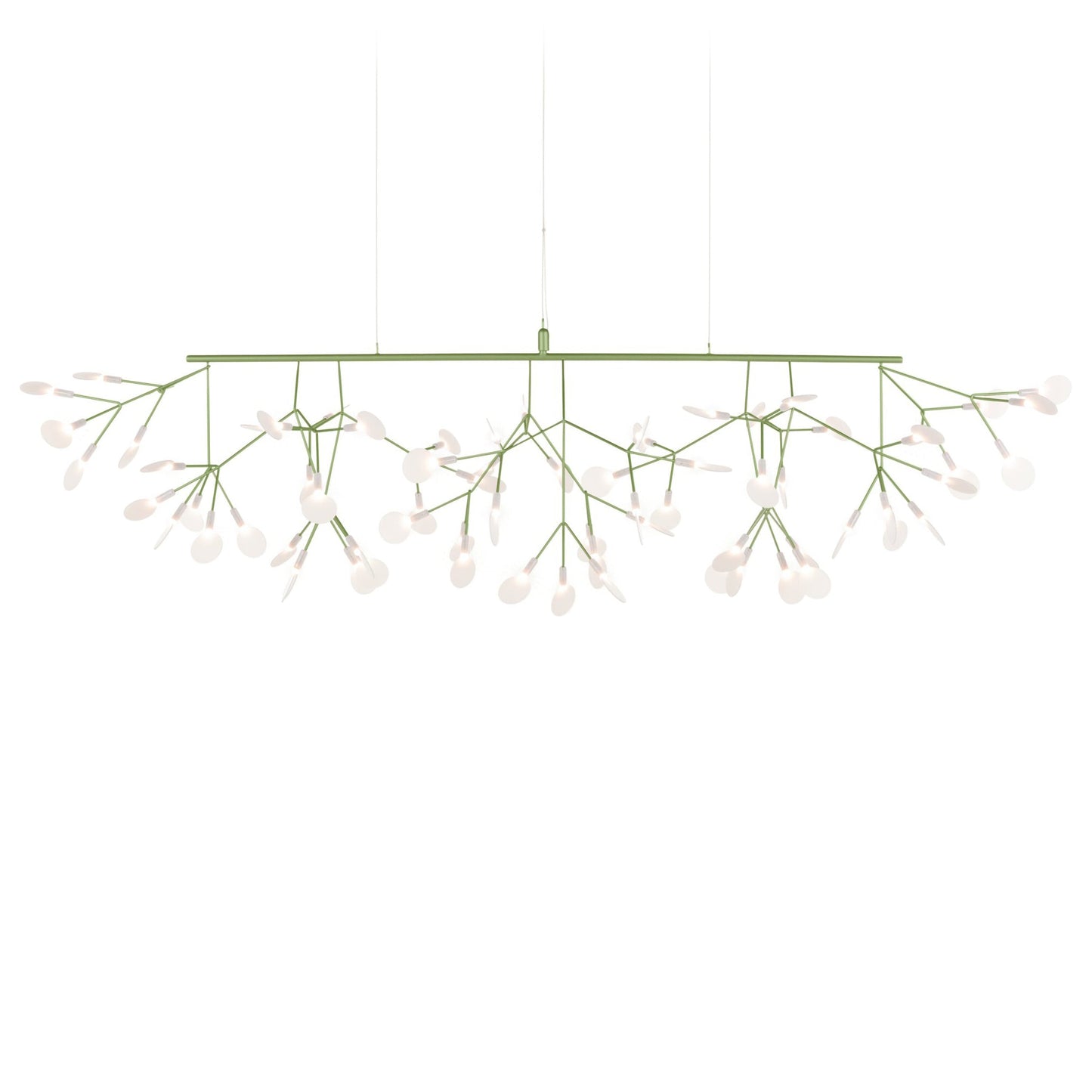 Heracleum III Linear Light