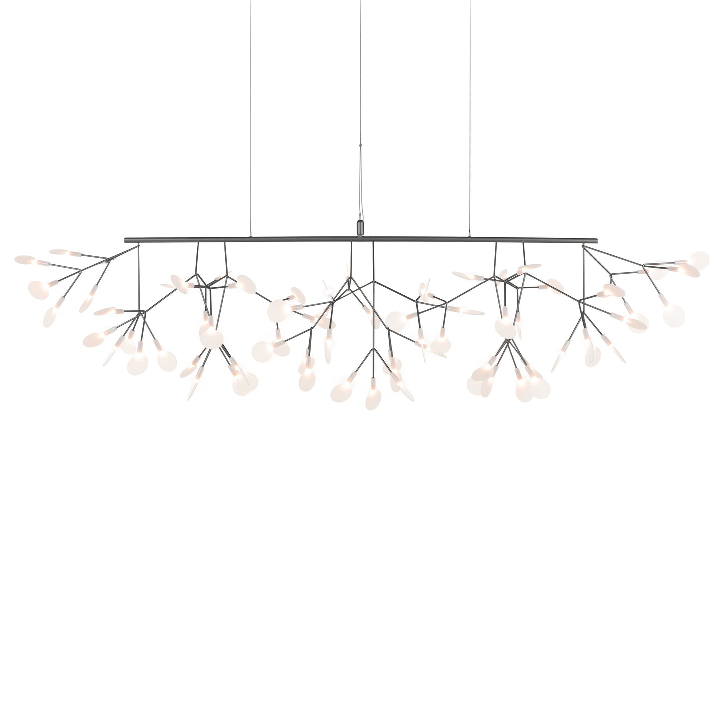 Heracleum III Linear Light