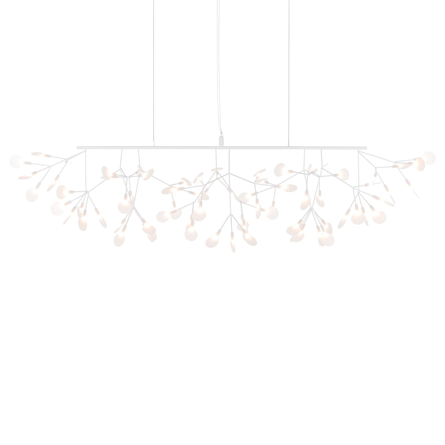 Heracleum III Linear Light