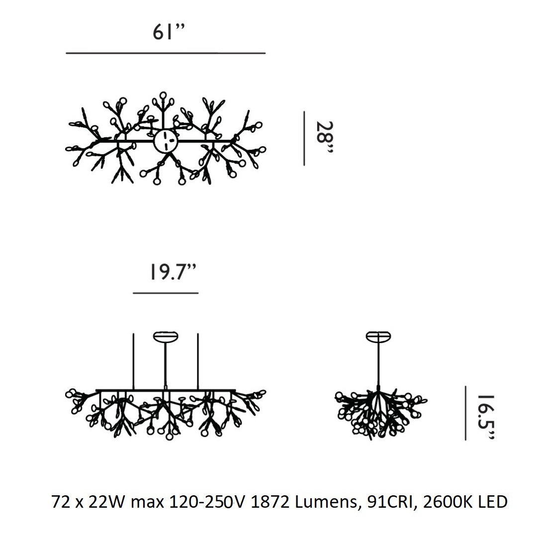 Heracleum III Linear Light