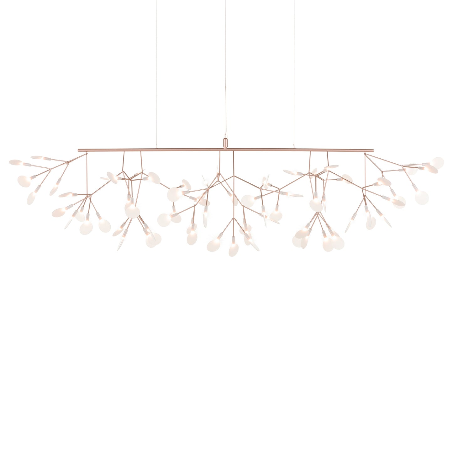 Heracleum III Linear Light