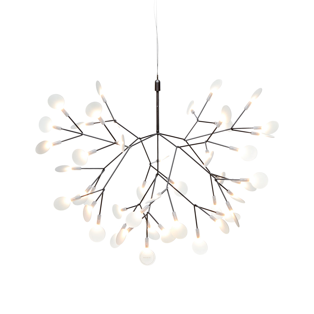 Heracleum III Suspended Light