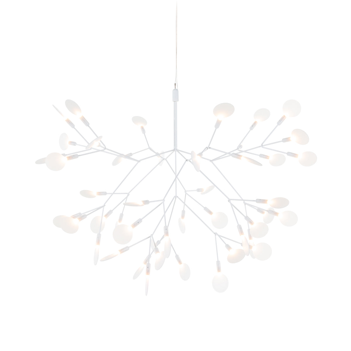 Heracleum III Suspended Light