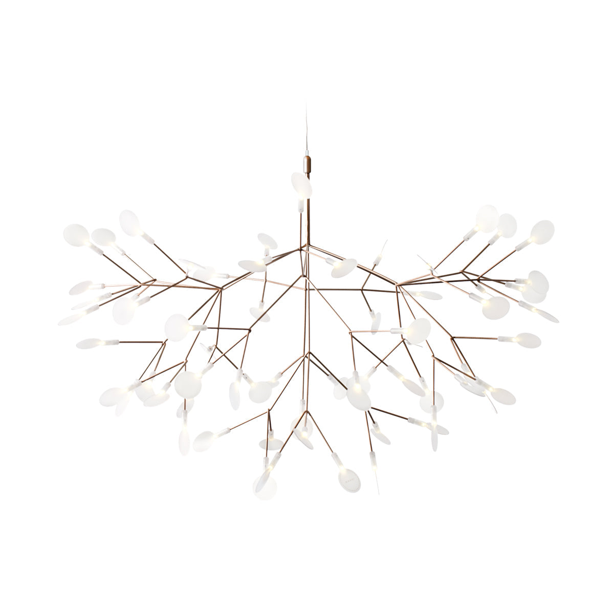 Heracleum III Suspended Light