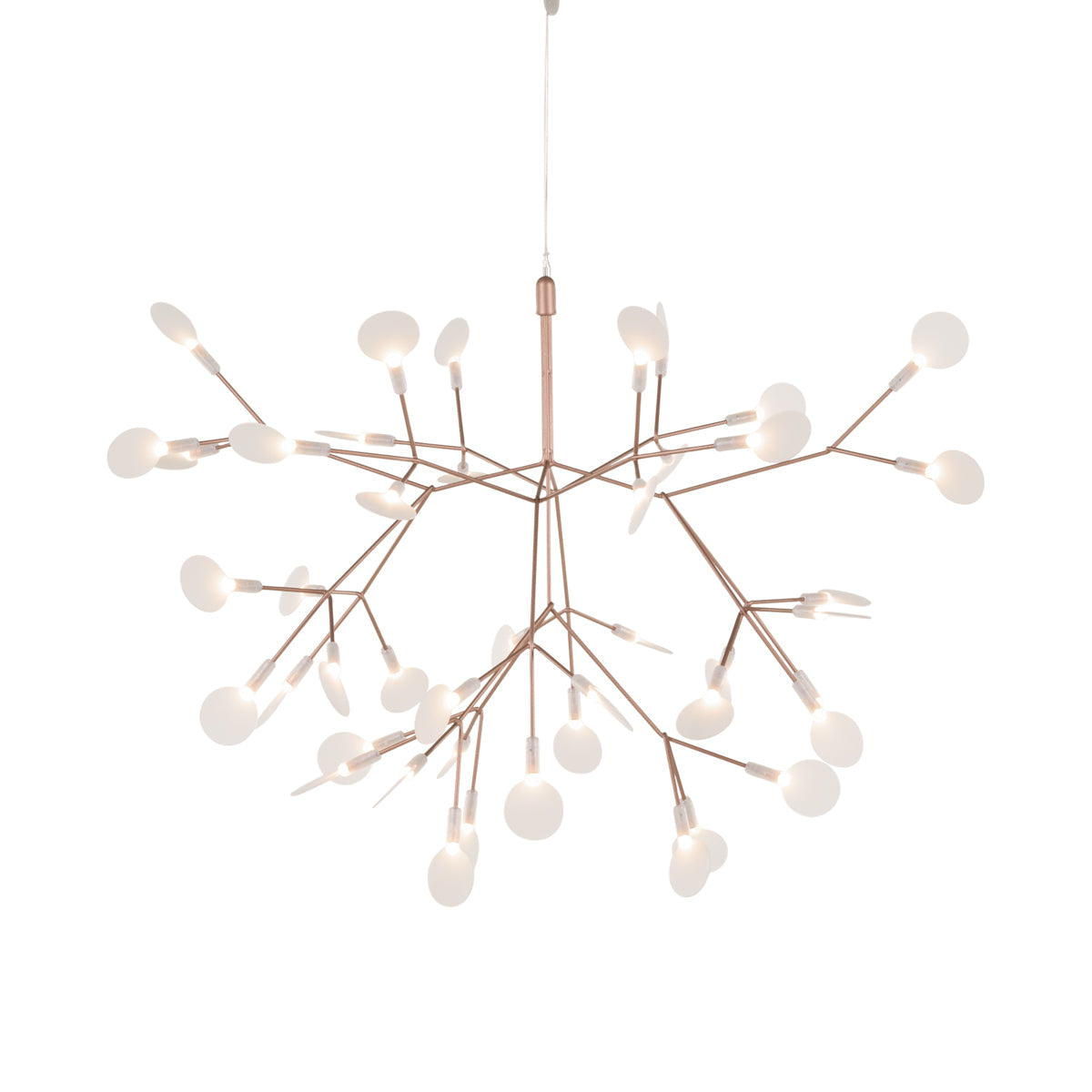 Heracleum III Suspended Light