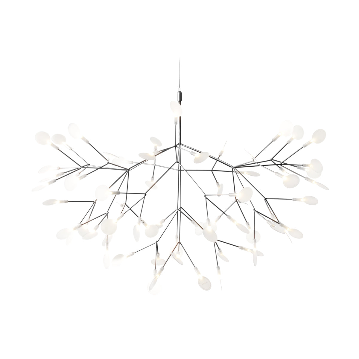 Heracleum III Suspended Light