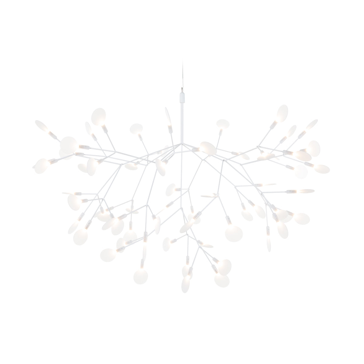 Heracleum III Suspended Light