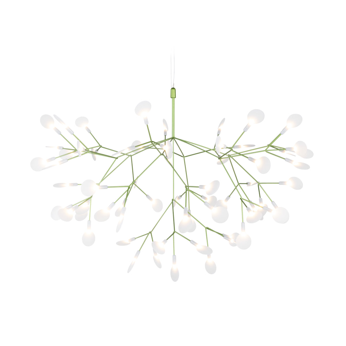 Heracleum III Suspended Light