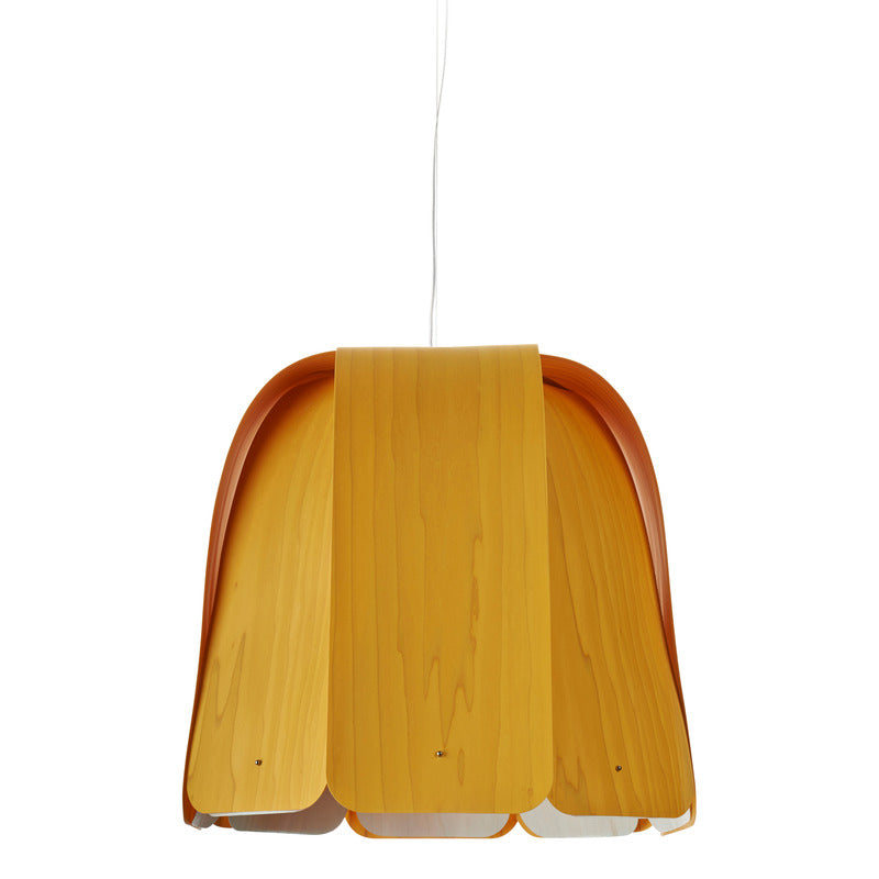 Domo Pendant Light