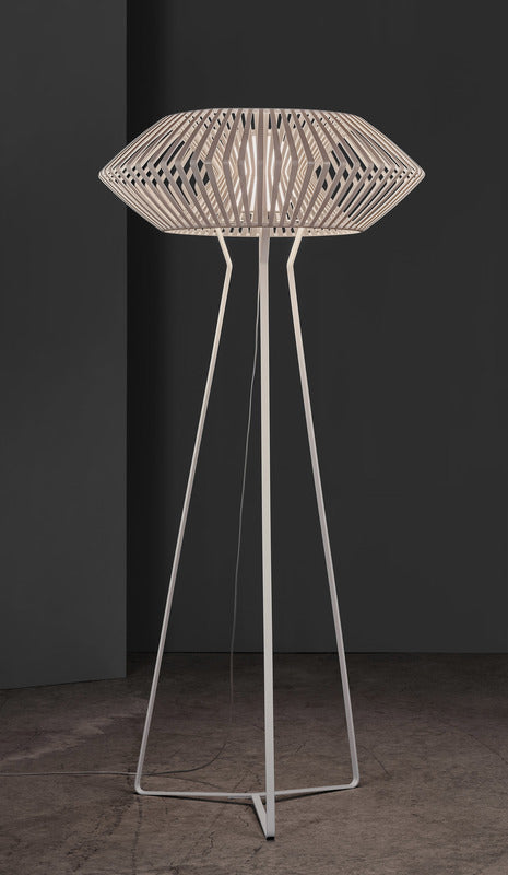 V Floor Lamp